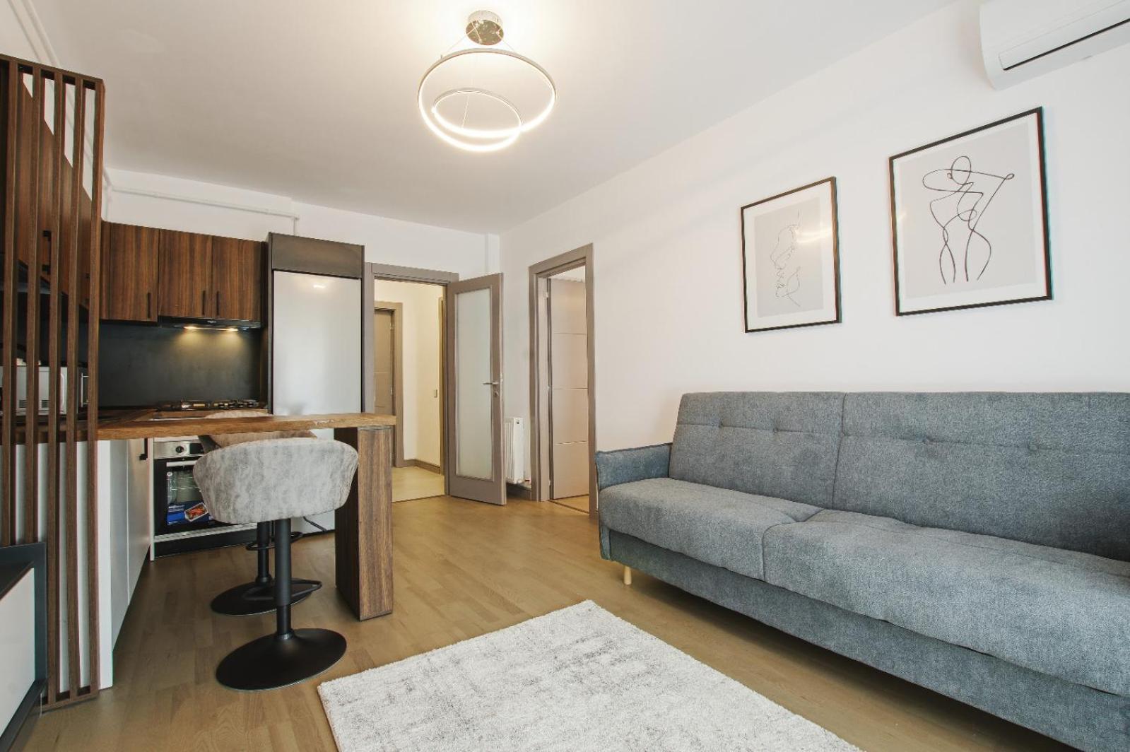 Himson-Brown Apartment Ясси Екстер'єр фото